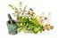 Naturopathe