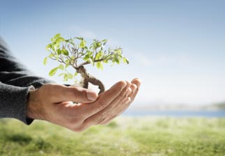 Ces métiers au cœur des préoccupations environnementales