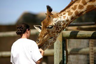 Fiche metier soigneur zoo