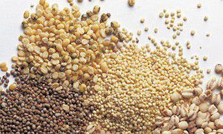 Guaranted Gluten Free (GGF) installera son prochain site de production à Noyon dans l'Oise