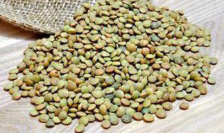 Soufflet Alimentaire mise sur la lentille pour développer son site valenciennois
