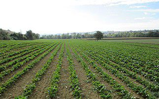 Karnott, la start-up lilloise qui souhaite faciliter la vie des agriculteurs, vient de lever 1,1M€