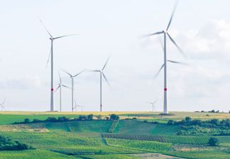 L'économie verte, un levier pour l'emploi !