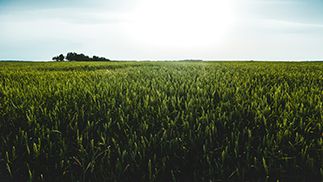 Pangniu Food : Implantation dans la région et postes à pourvoir