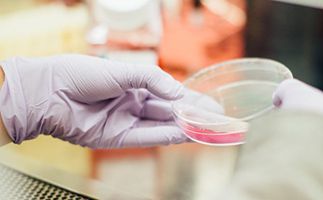 Imabiotech : un nouveau laboratoire à Boston et des recrutements à venir