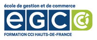 EGC LILLE