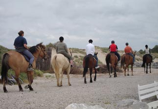 Offre d emploi moniteur d'activites equestres