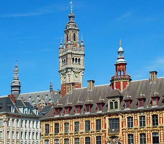 A Lille, de nouvelles formations à la rentrée 2020