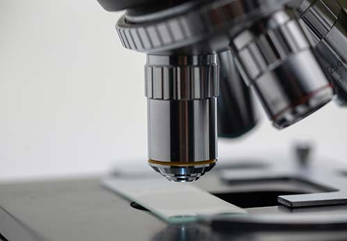 La start-up bretonne NG Biotech se développe et produit des tests de dépistage du Covid-19