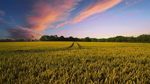 Recrutement en vue dans l’agriculture et l’agroalimentaire à Arras