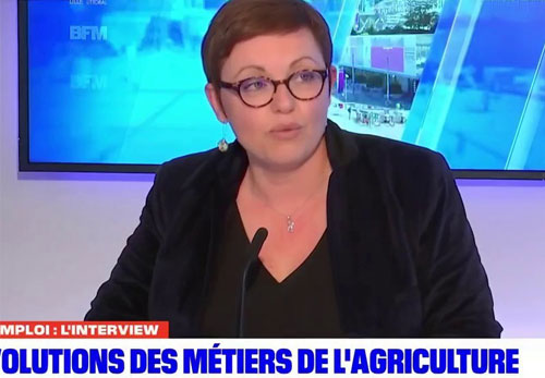[BFM Grand Lille / L4M] Agri-Intérim : « On peut bien gagner sa vie en tant que salarié agricole »