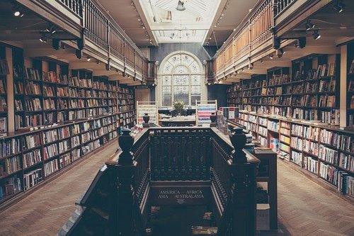 Ouverture d'un Parcours Environnement et Transition à l'Université Catholique de Lille