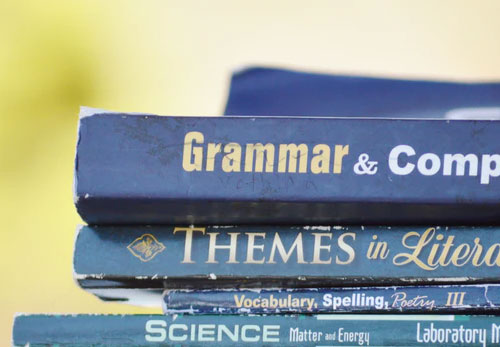 INTERVIEW : [24H EMPLOI FORMATION / VANNES] AMANDA GREY PAR AMANDA GREY