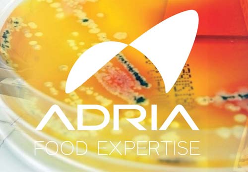 INTERVIEW [24H EMPLOI FORMATION / ARRAS] ADRIA PAR LEATITIA JÉZÉQUEL