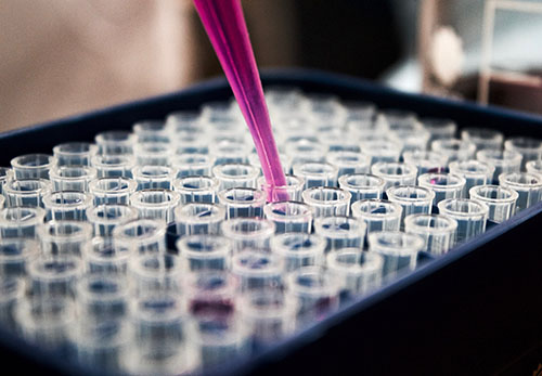 Biogroup rachète le groupe DiagnoVie