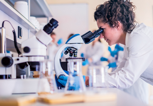 Valenciennes: nouveau projet pour inciter les filles à se tourner vers des études scientifiques.