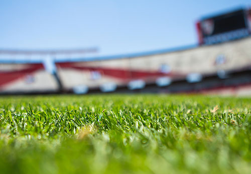 Le Stade Malherbe Caen organise son job dating le 13 avril