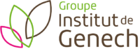Genech Formation