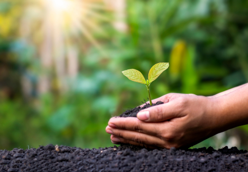 Le ministère de la Transition écologique recrute massivement dans le développement durable