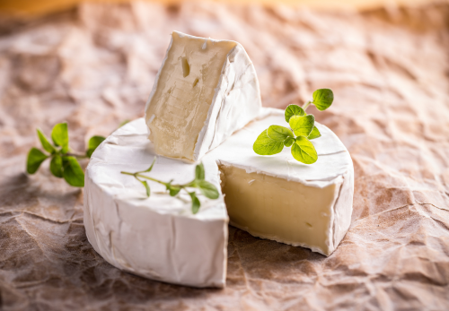 ARTUS et la Fromagerie Gillot : De Nombreux Emplois pour Fabriquer des Produits d'Excellence