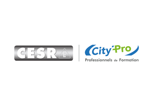 TÉMOIGNAGE EXPOSANT : ALEXIS HERMAN - DIRECTEUR PÉDAGOGIQUE MANCHE - CESR CITY'PRO