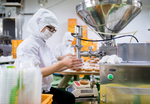 Havea recrute 150 nouveaux collaborateurs en CDI en Vendée