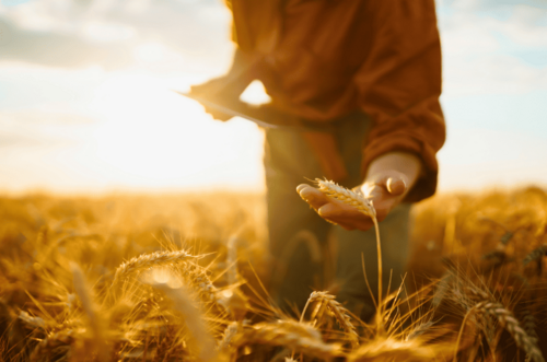 Semaine nationale de l’emploi agroalimentaire : plus de 10 000 postes à saisir partout en France