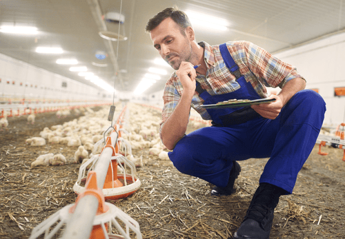 SNV dynamise l'Orne avec un investissement de 67 millions d'euros et 150 emplois à la clé