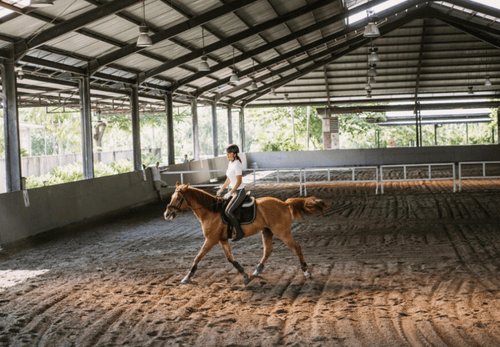 Saint-Lô accueille un job-dating dédié à l’emploi et à la formation dans la filière équine