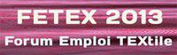 Fetex 2013