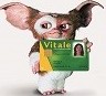 GISMO DEVELOPPEMENT VITALE TECHNOLOGIE